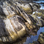 三浦半島 荒崎海岸（神奈川県）