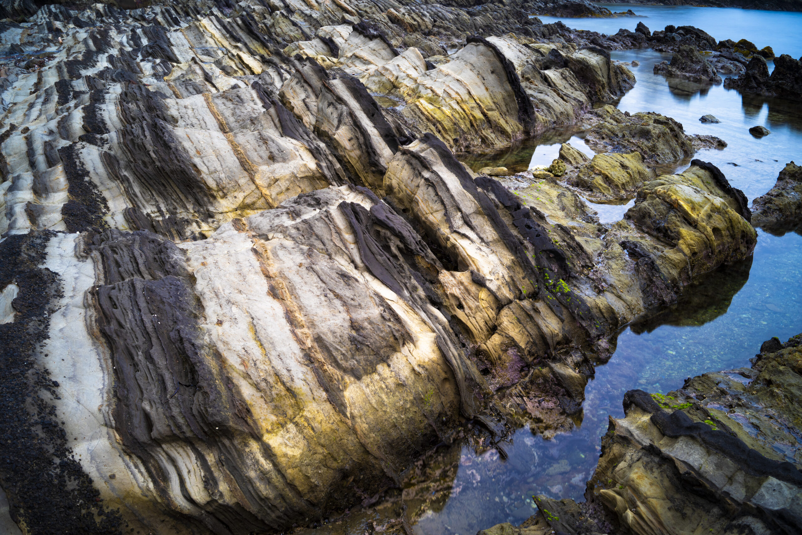 三浦半島荒崎海岸の火山灰層（神奈川県横須賀市）