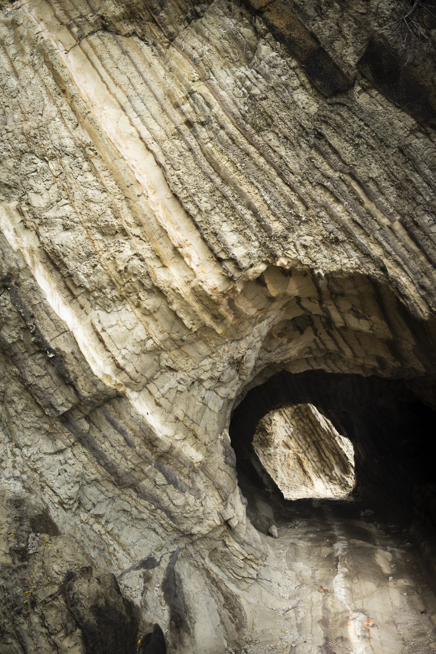 三浦半島荒崎海岸の火山灰層と海食洞（神奈川県横須賀市）