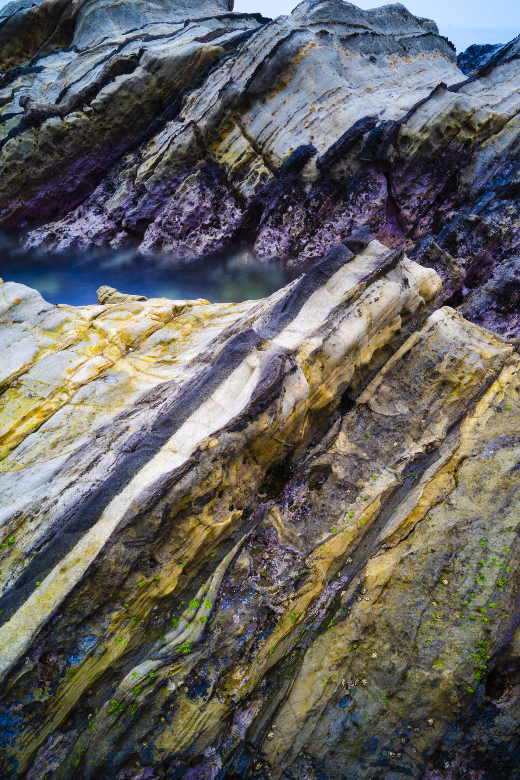 三浦半島荒崎海岸の火山灰層（神奈川県横須賀市）