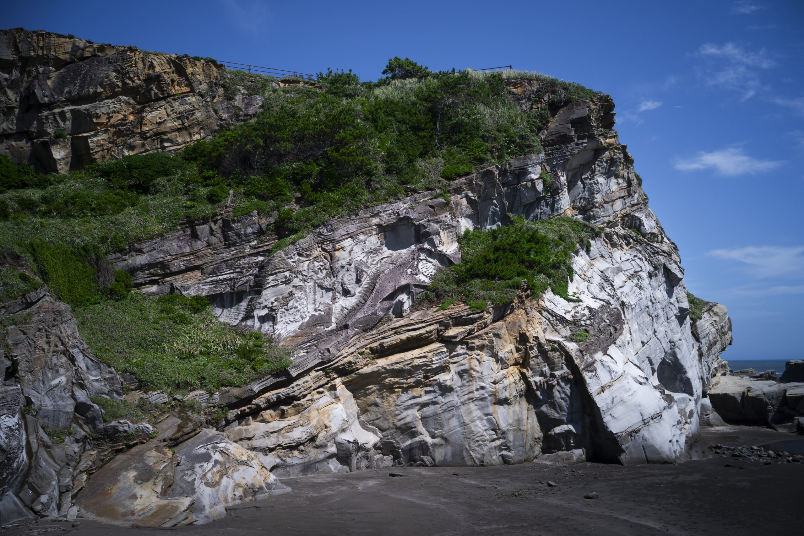 犬吠埼の白亜紀浅海堆積物（千葉県銚子市）