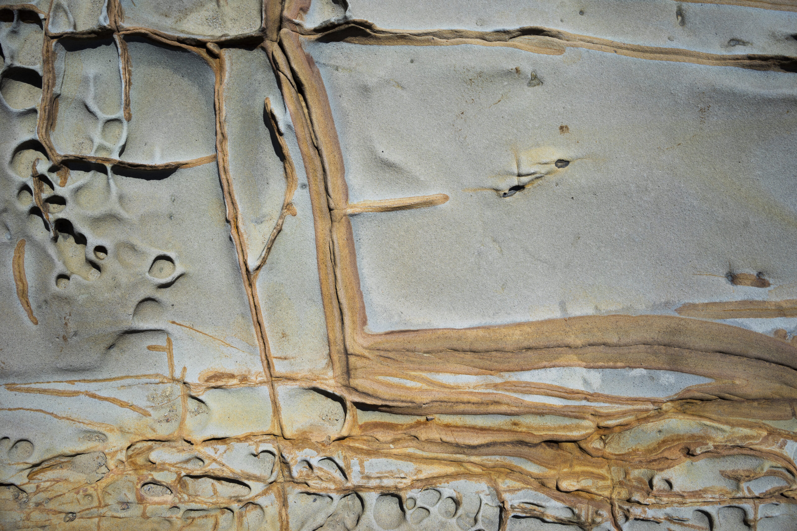 割れ目に沿って酸化鉄の沈澱が見られる犬吠埼の砂岩（千葉県銚子市）