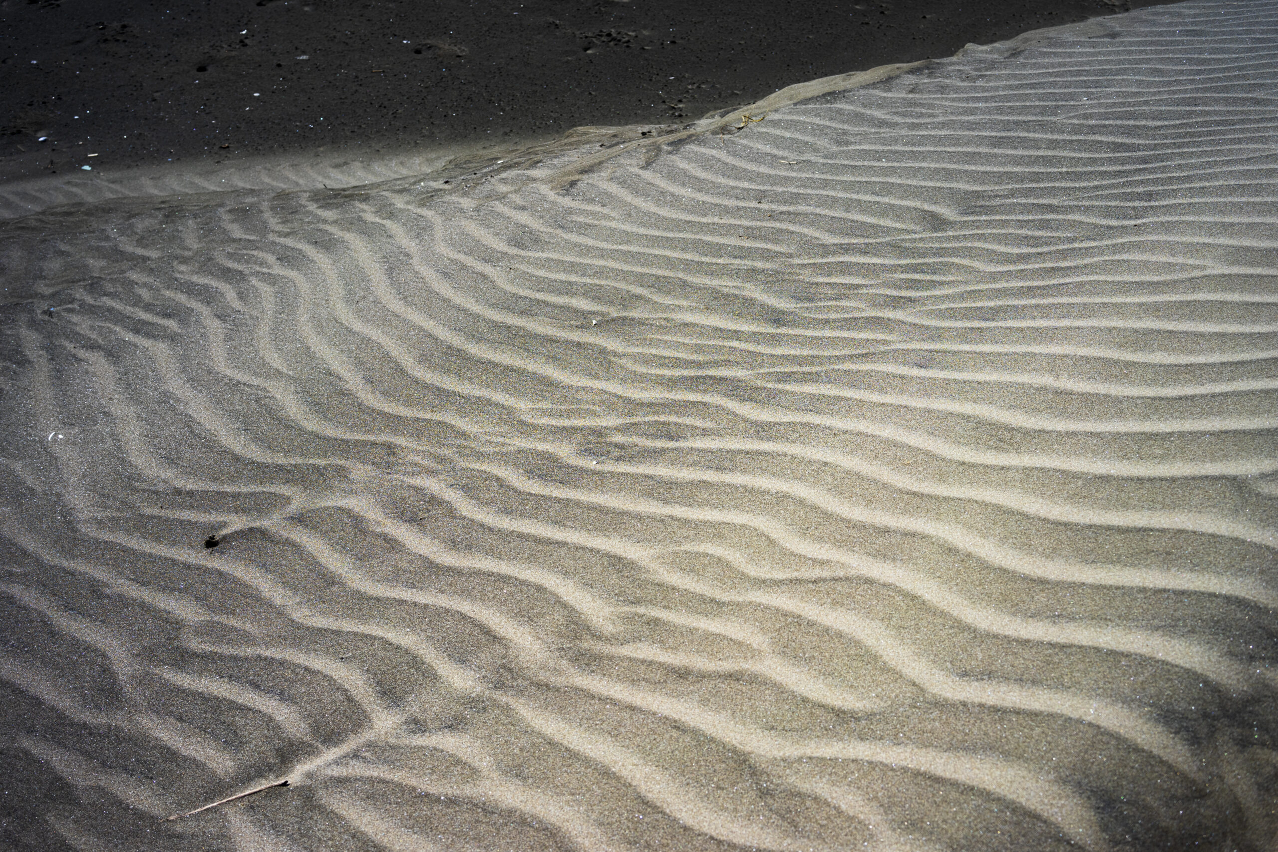 犬岩周辺の砂浜に見られる風紋（千葉県銚子市）