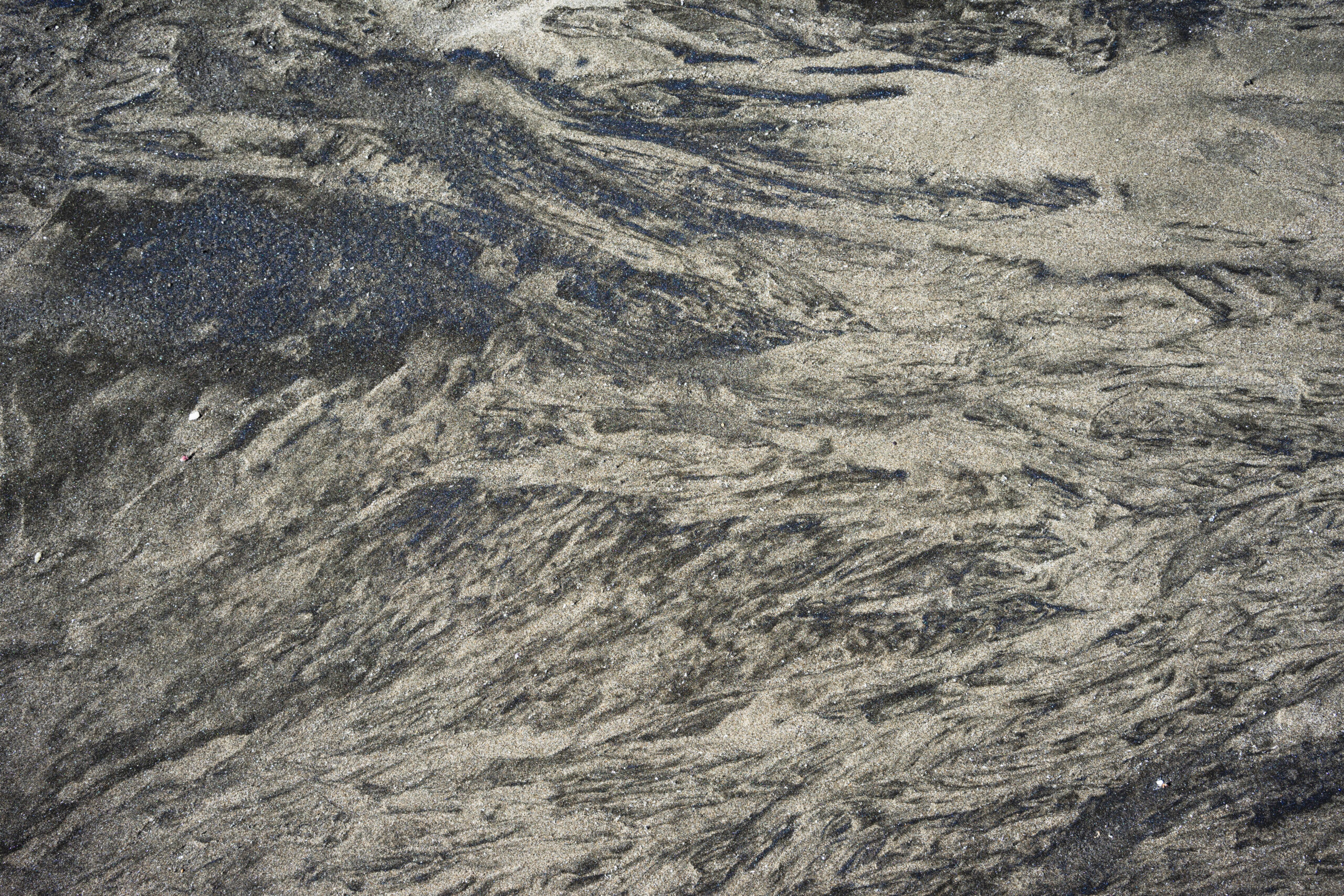 黒色の砂鉄が堆積する犬岩周辺の砂浜（千葉県銚子市）