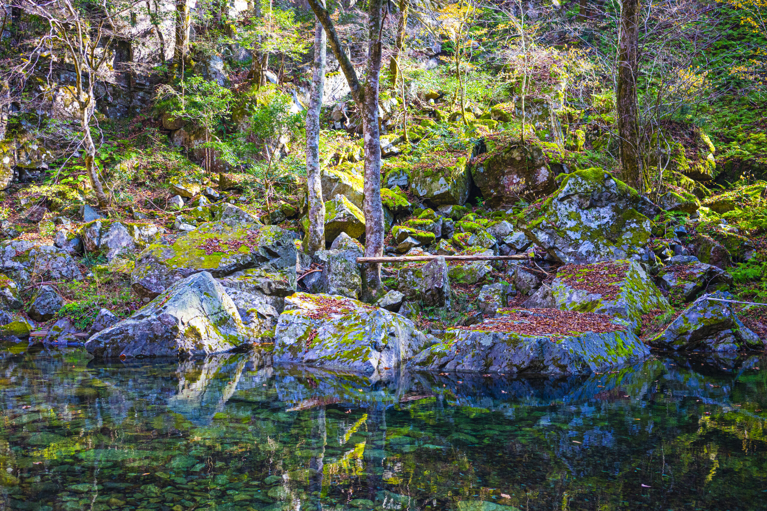 猿飛と二段滝に向かう渡し舟の乗り場から見た風景（広島県安芸太田町三段峡）