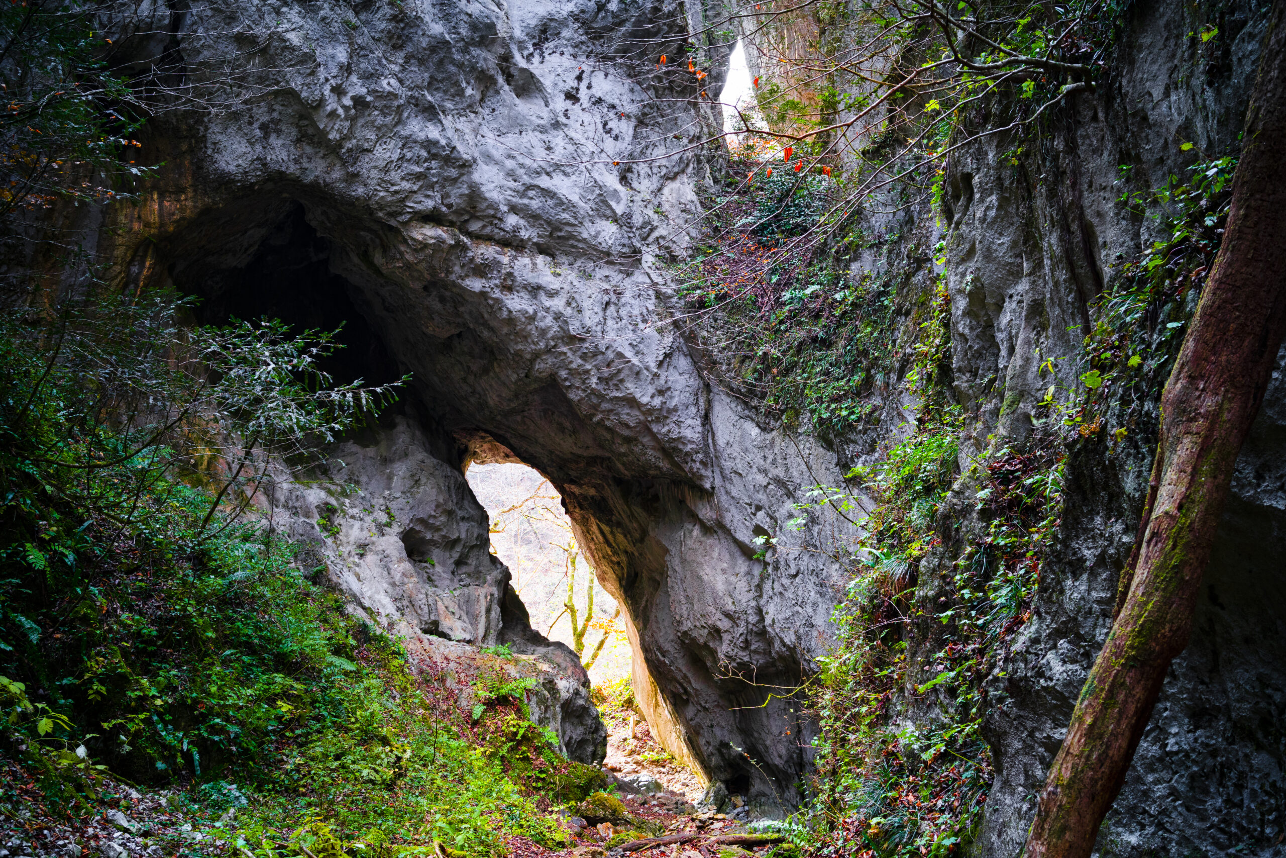 唐門（広島県帝釈峡）