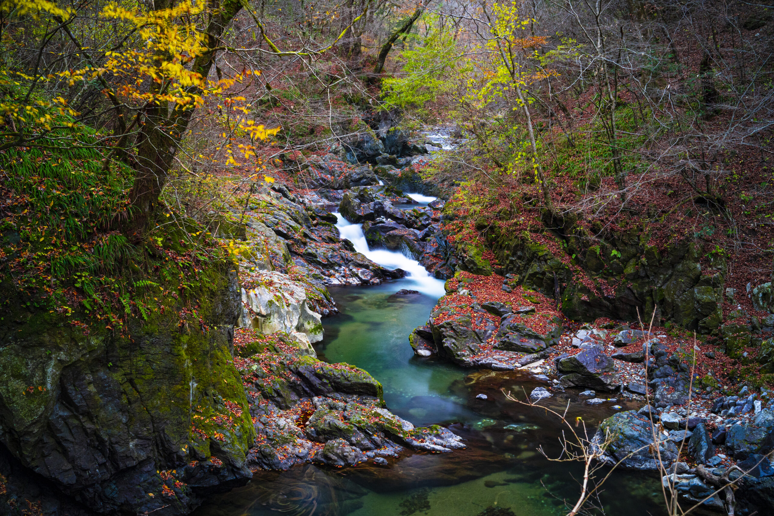 断魚渓（広島県帝釈峡）