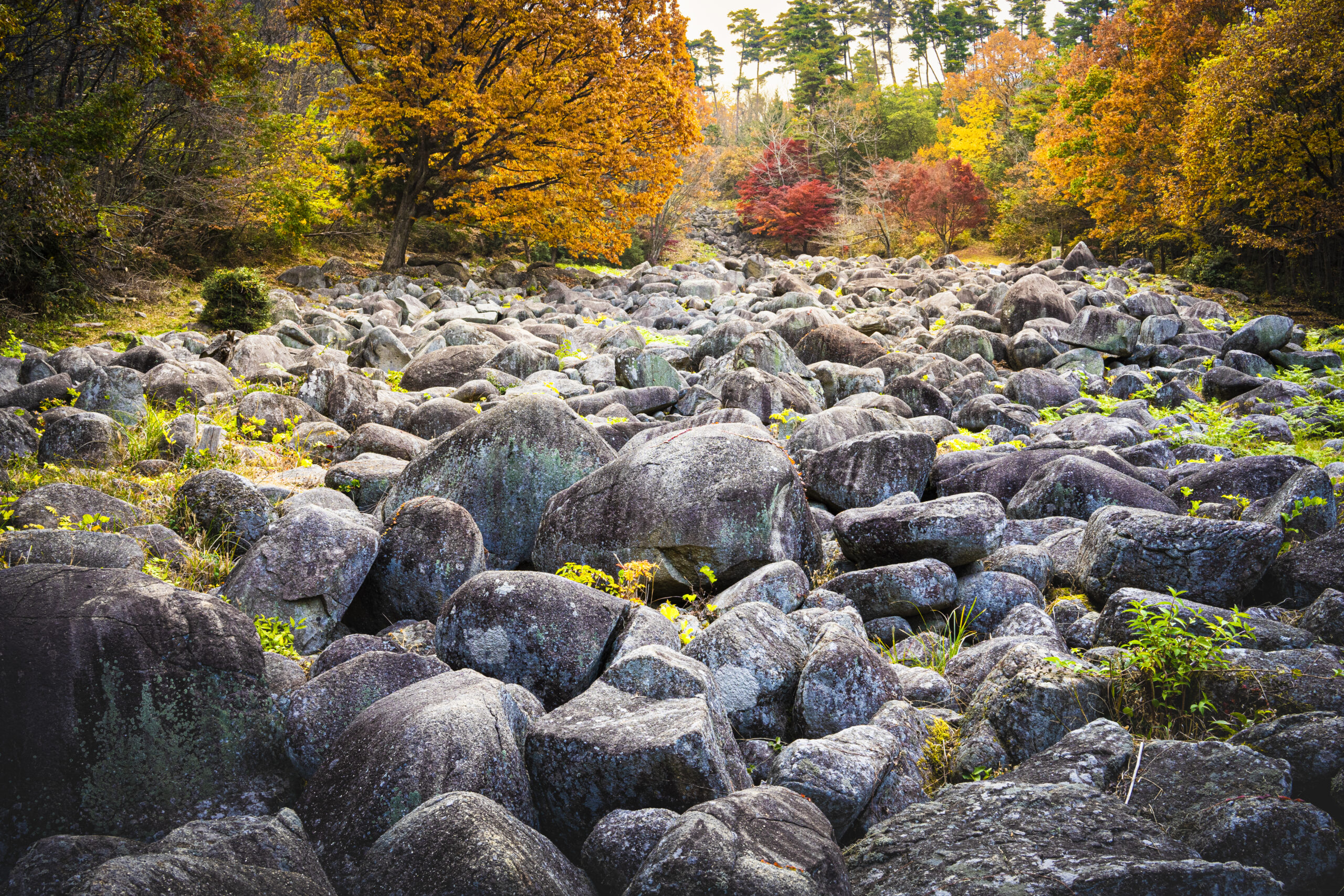 久井岩海（広島県三原市久井町吉田）