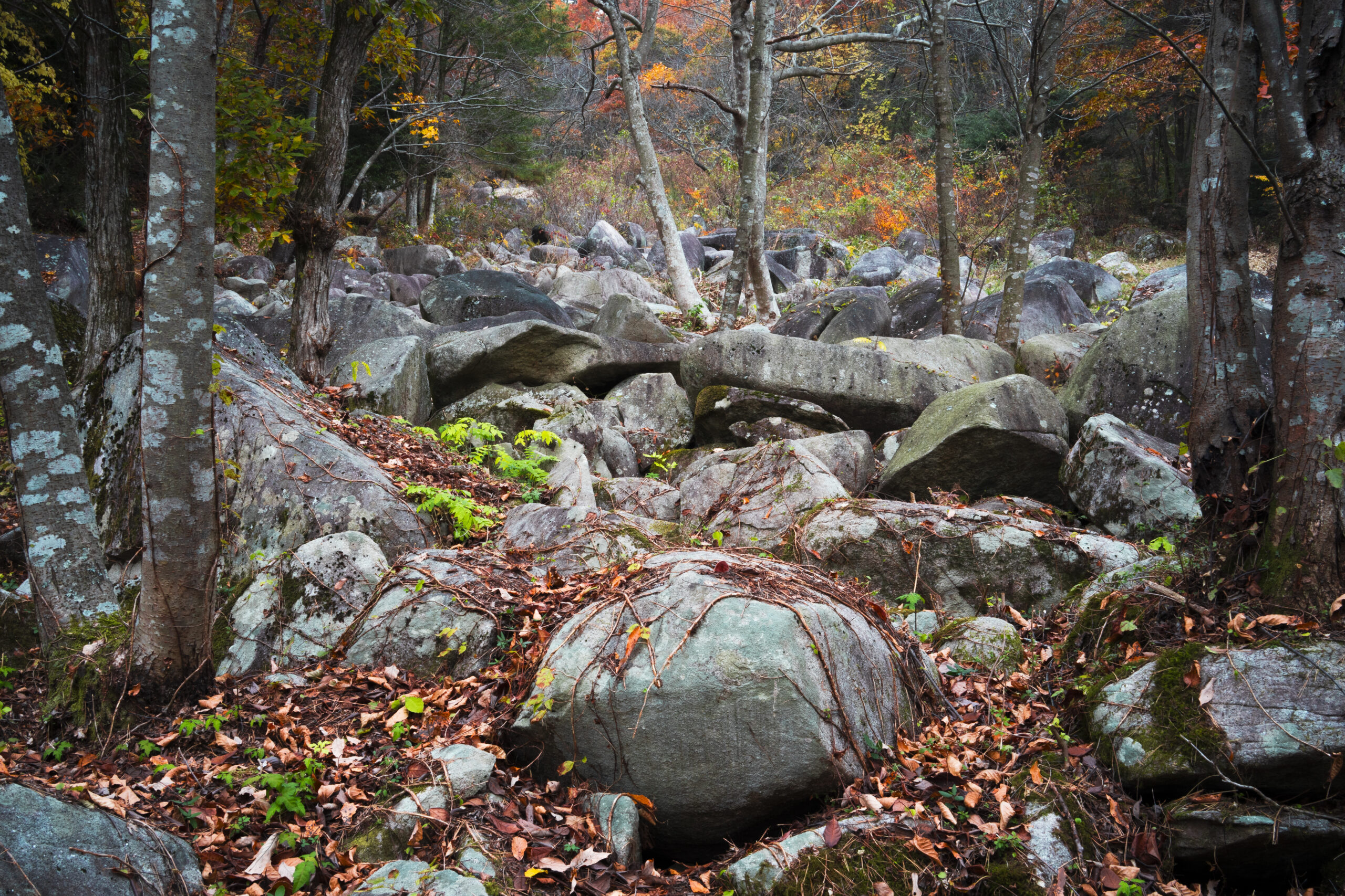 久井岩海水音峡（広島県三原市久井町吉田）