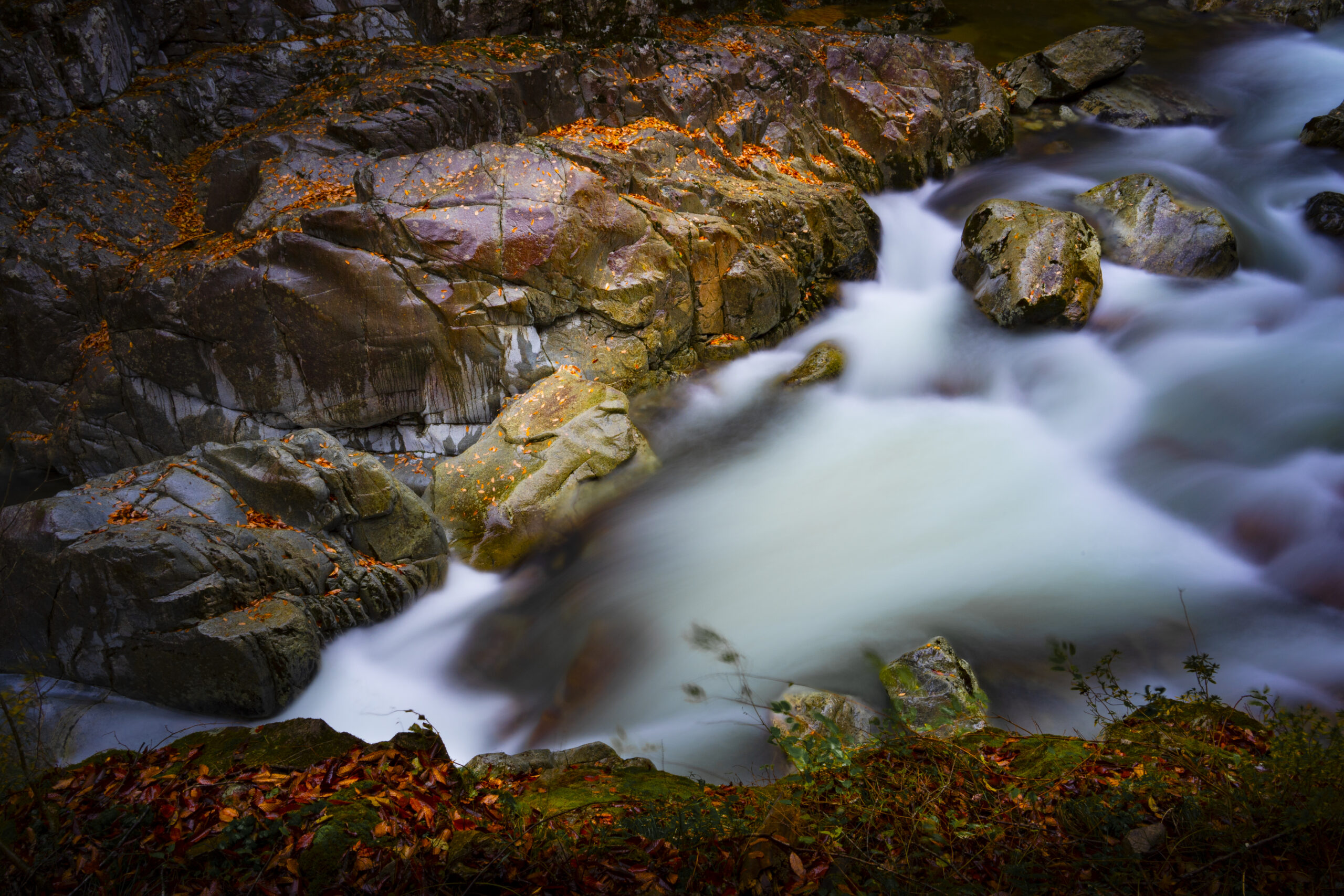 三段峡竜ノ口の近く（広島県安芸太田町）