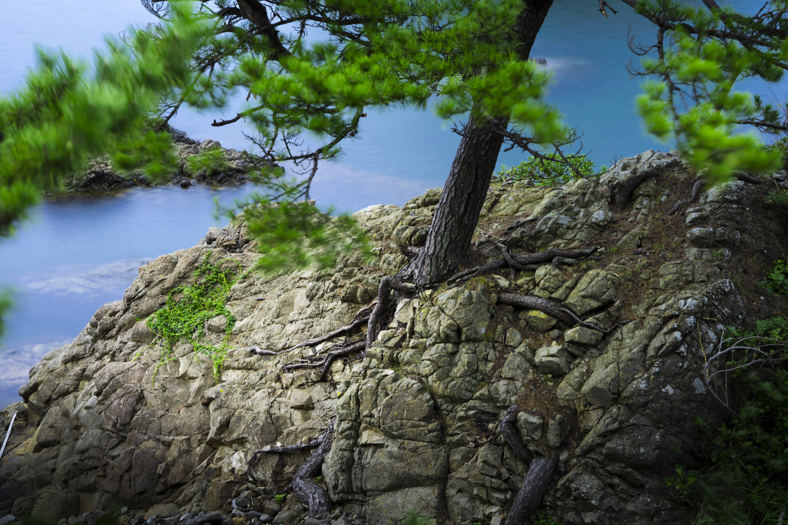 Tajima-Matsushima, Kasumi Coast, Kami-cho, Mikata-gun, Hyogo, 2022
但馬松島（兵庫県美方郡香美町香住海岸）
